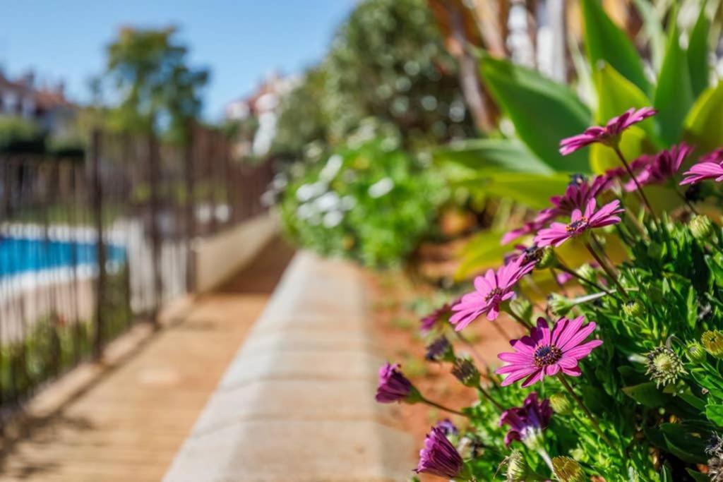 Hato Verde Golf Oasis De Paz En El Paraiso La Pajanosas Zewnętrze zdjęcie